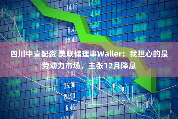 四川中壹配资 美联储理事Waller：我担心的是劳动力市场，主张12月降息